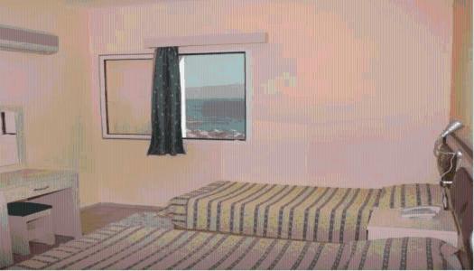 Malama Beach Hotel 博德鲁姆 客房 照片